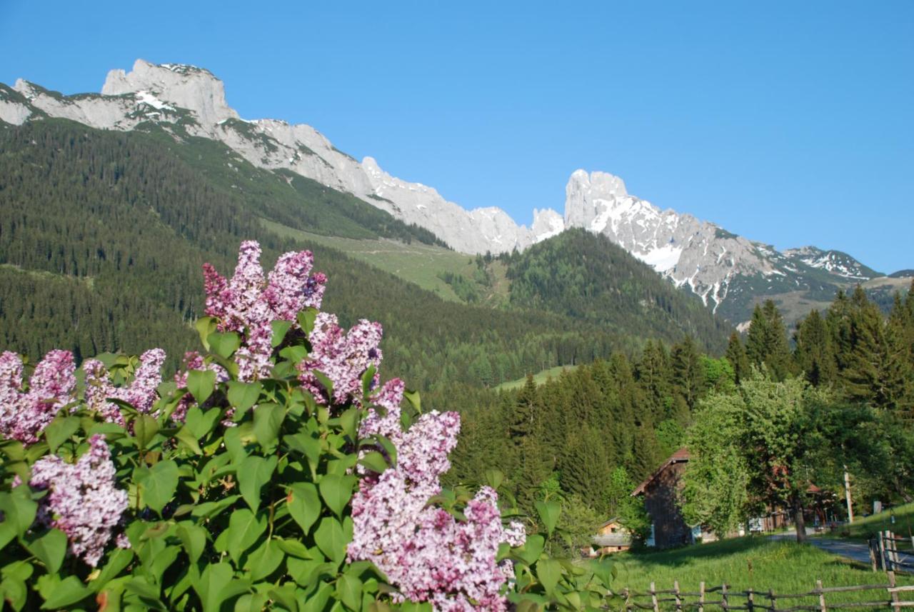 Alpenhaus Donnerkogel Apartment Annaberg im Lammertal Bagian luar foto